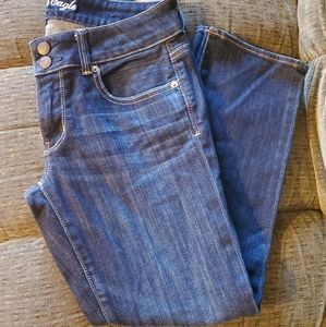 American Eagle Artist Jeans